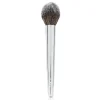 POINTED POWDER BRUSH F10