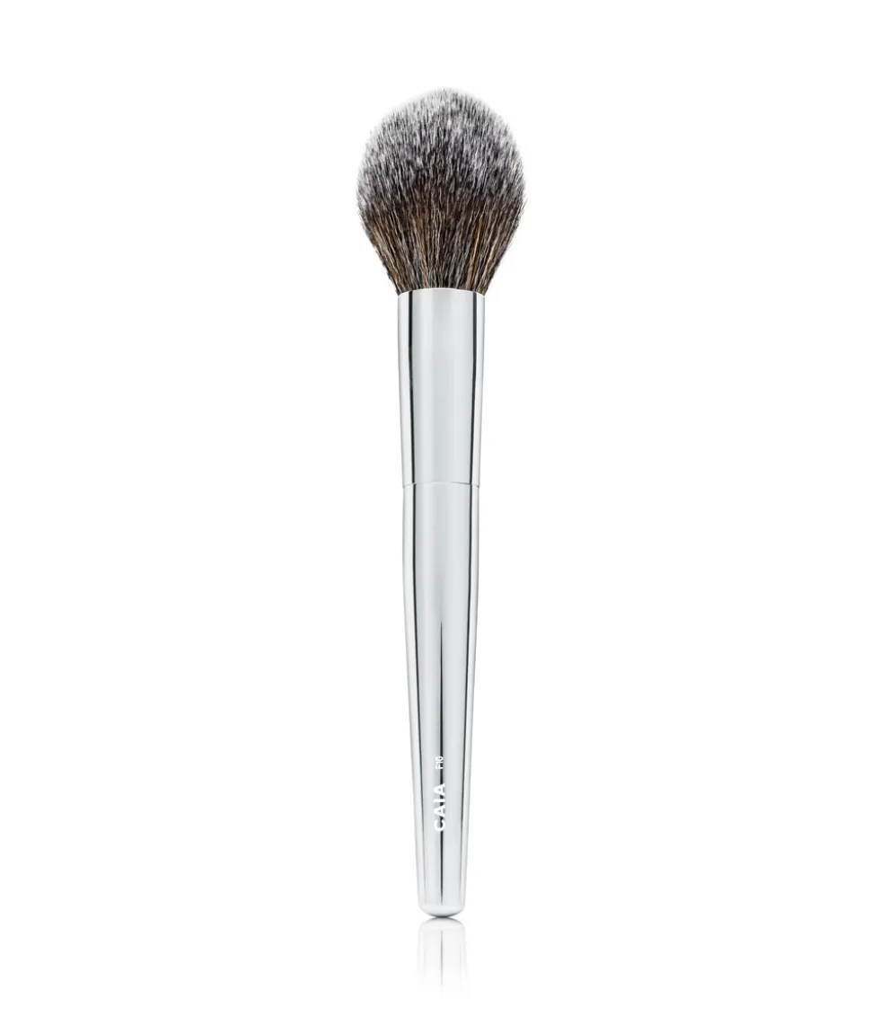 POINTED POWDER BRUSH F10