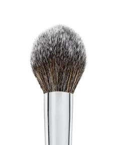 POINTED POWDER BRUSH F10